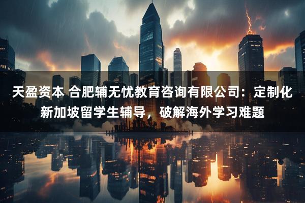 天盈资本 合肥辅无忧教育咨询有限公司：定制化新加坡留学生辅导，破解海外学习难题