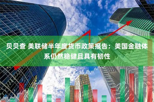 贝贝查 美联储半年度货币政策报告：美国金融体系仍然稳健且具有韧性